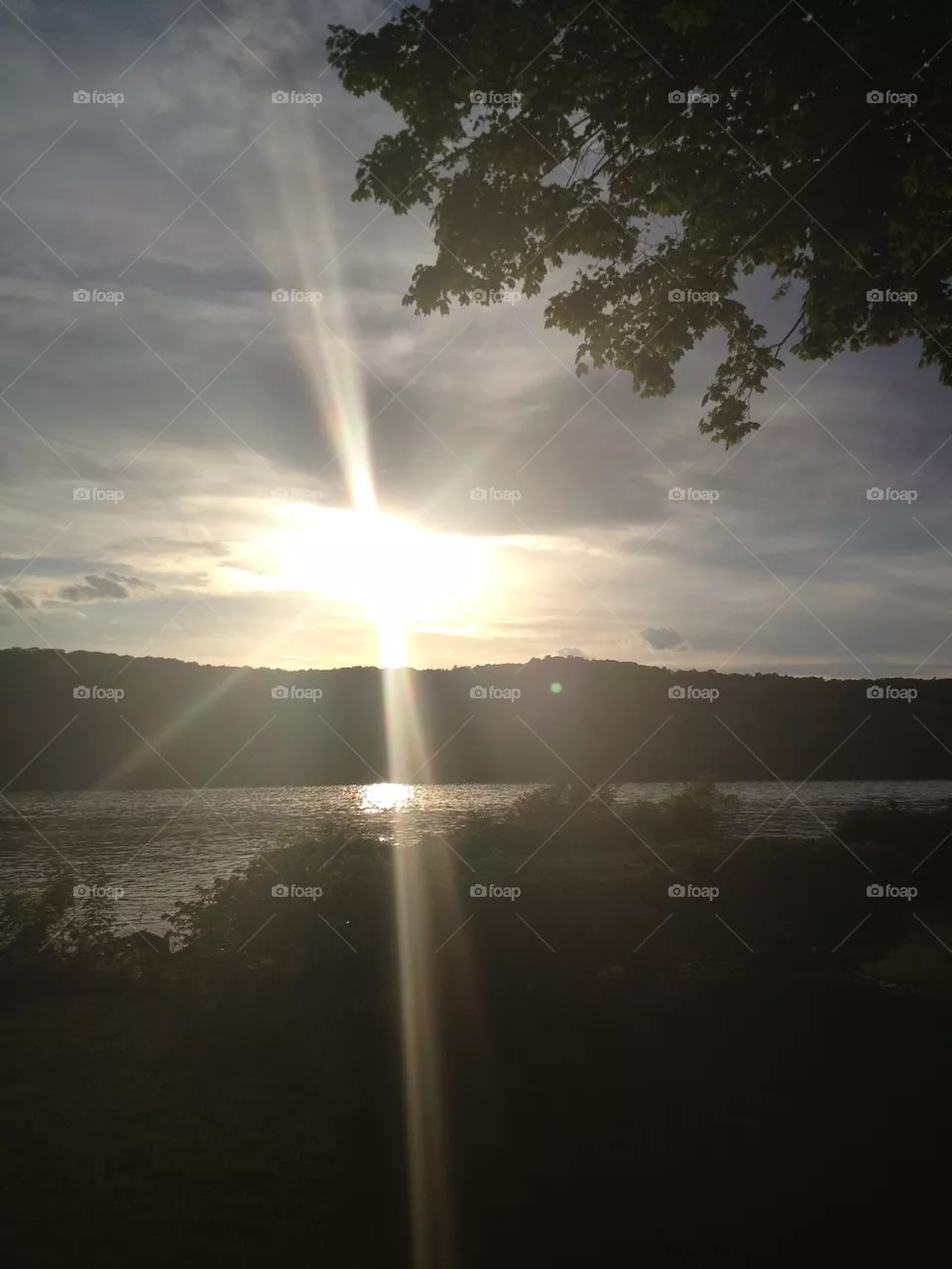 Rays