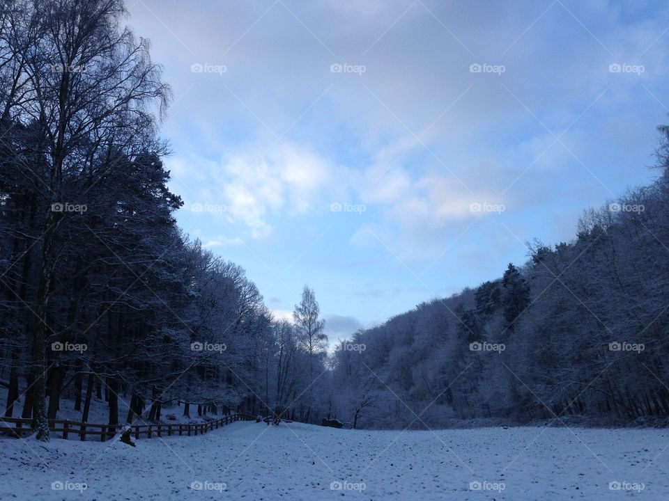 Snow, Winter, Cold, Frost, Landscape