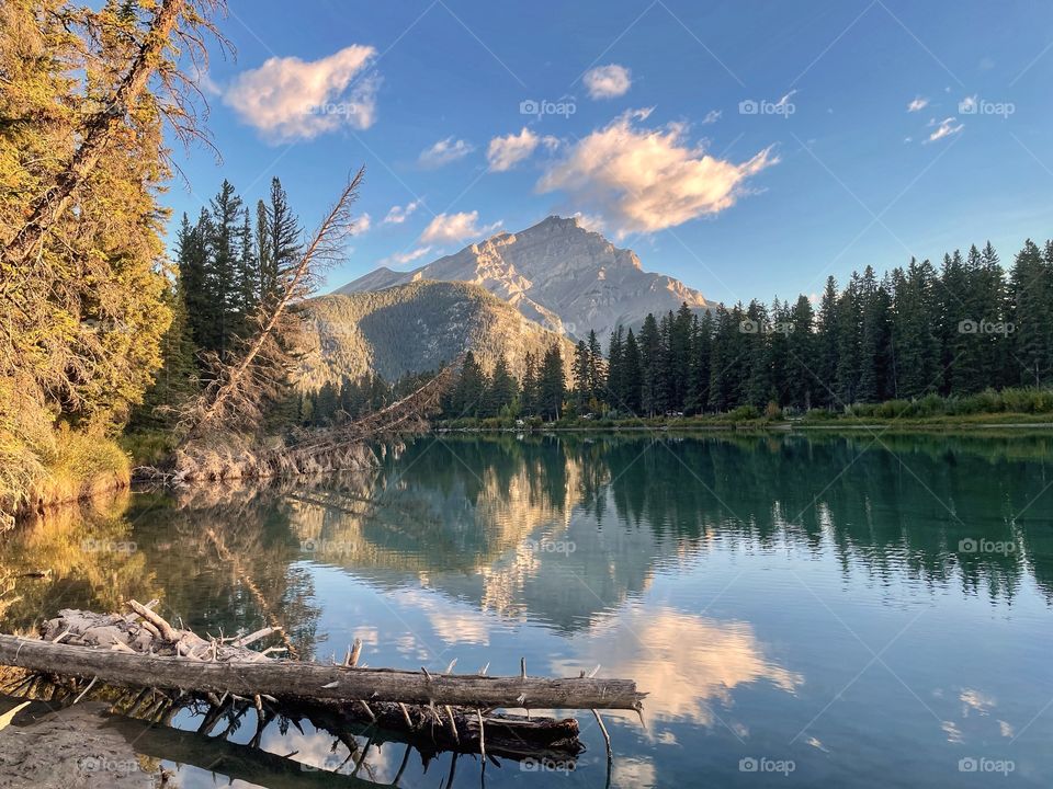 Bow River mountain reflection 