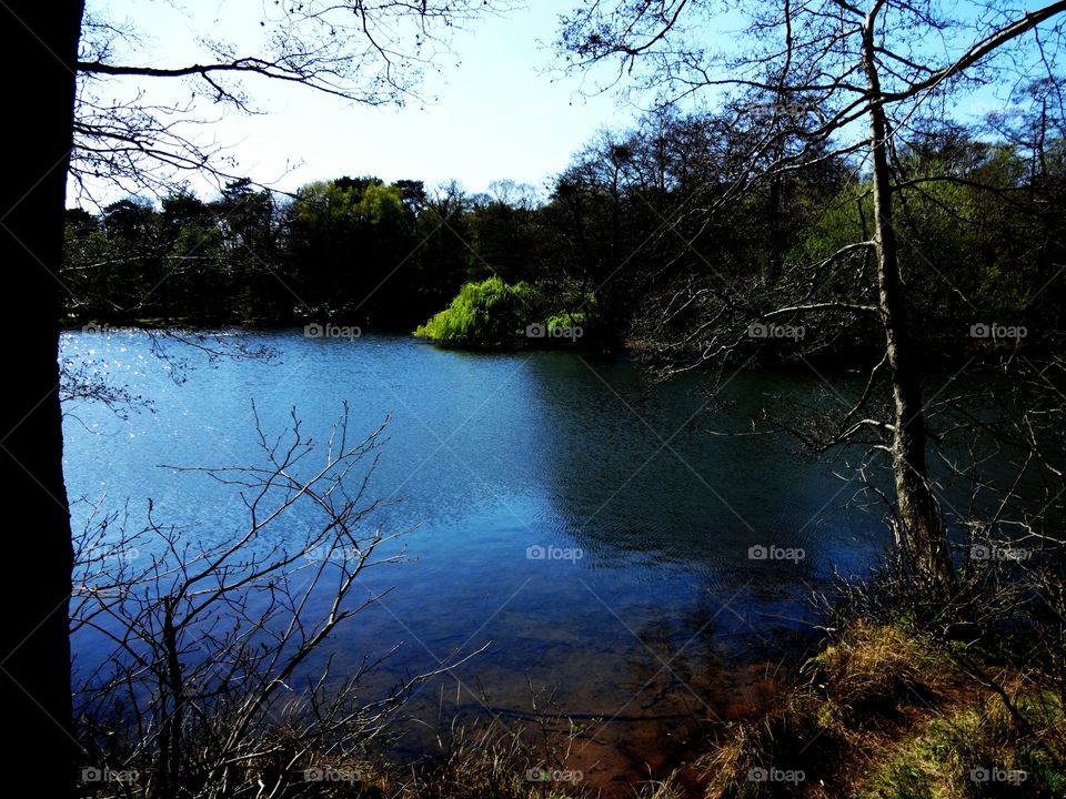 lake. lake  in Wollaton Park