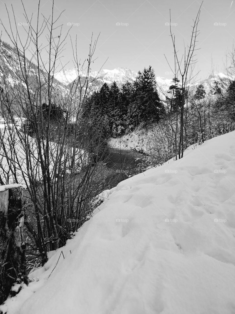 Winter Snow in German Alps