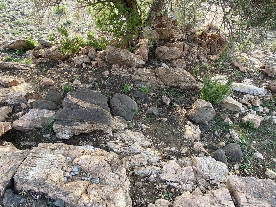 Amazing photo for desert 🌵