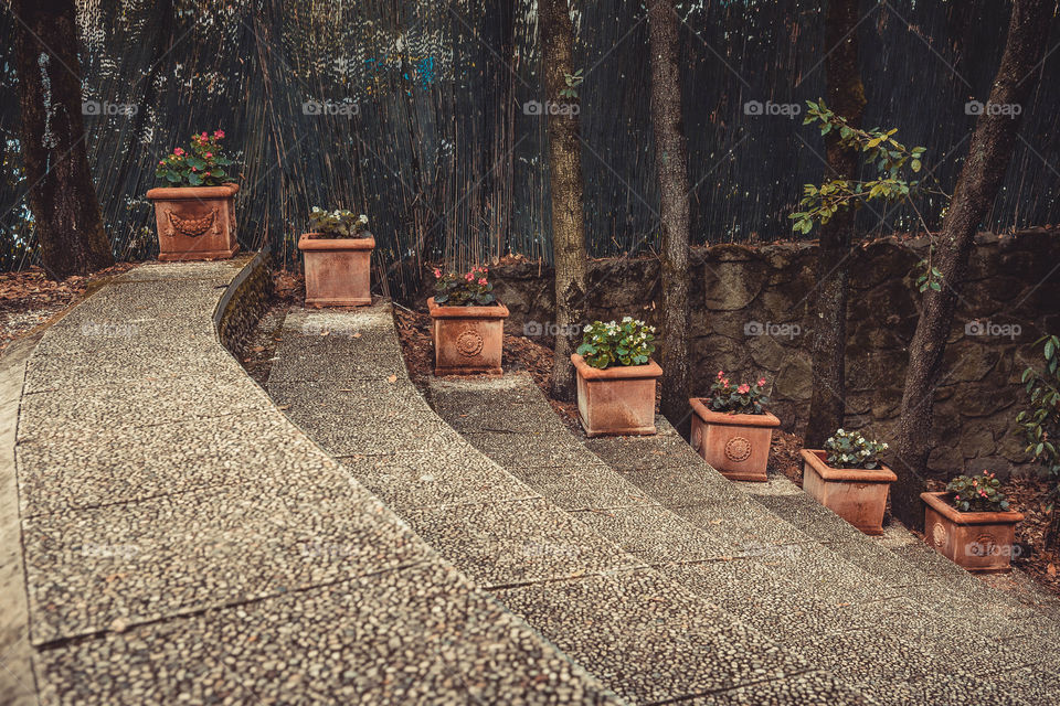 Flowerpot on stairs