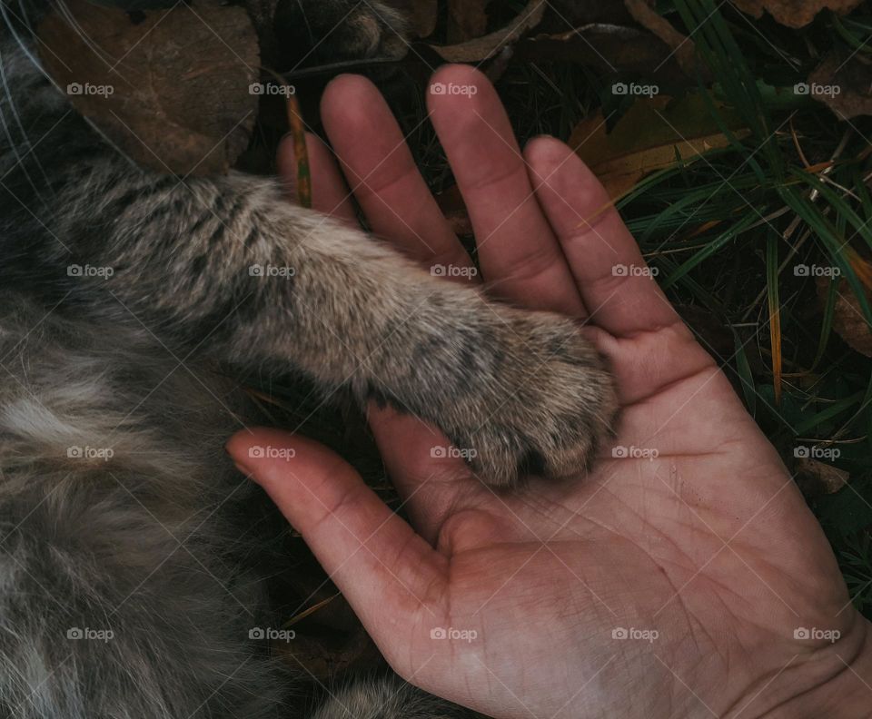 The most faithful friendship with a person