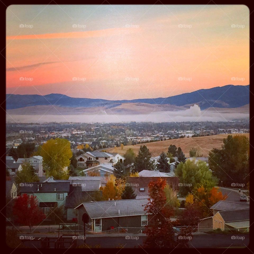 Montana mist