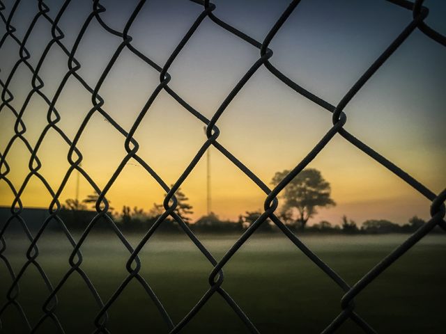 Early morning light
