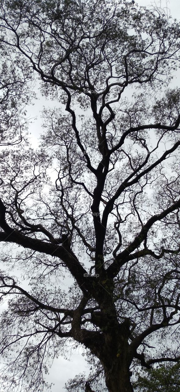 When sun shadow creates beautiful masterpiece