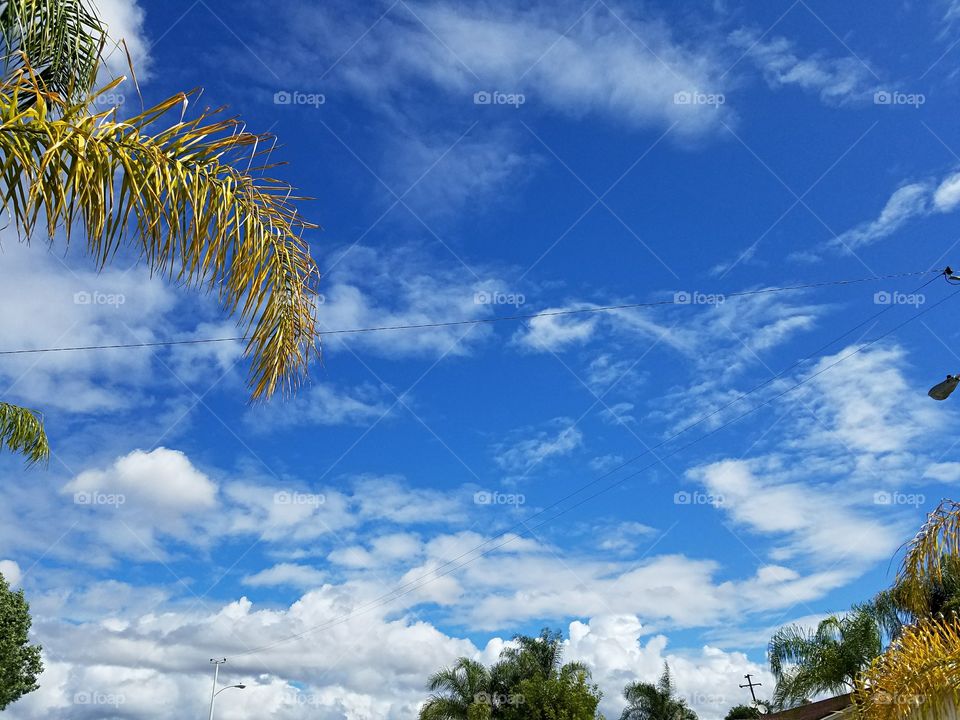 Clearing skies after the rain!