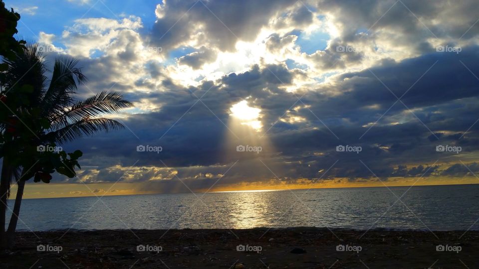 Sunset at the beach with palm tree
