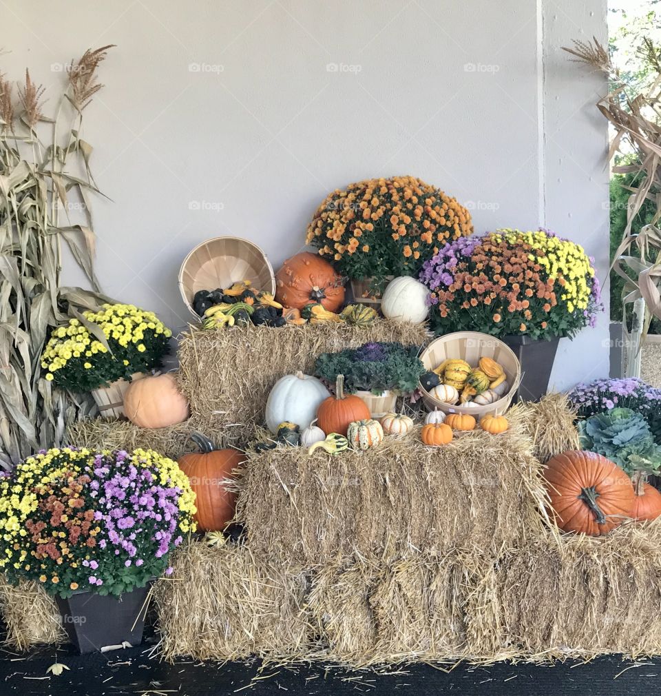Harvest decoration