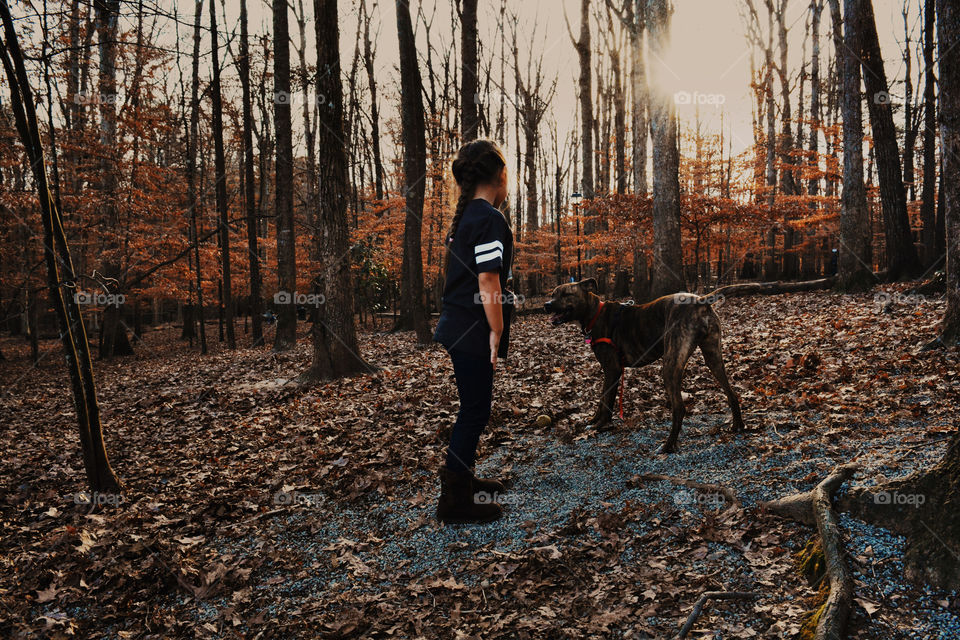 Wood, Tree, People, Fall, Outdoors