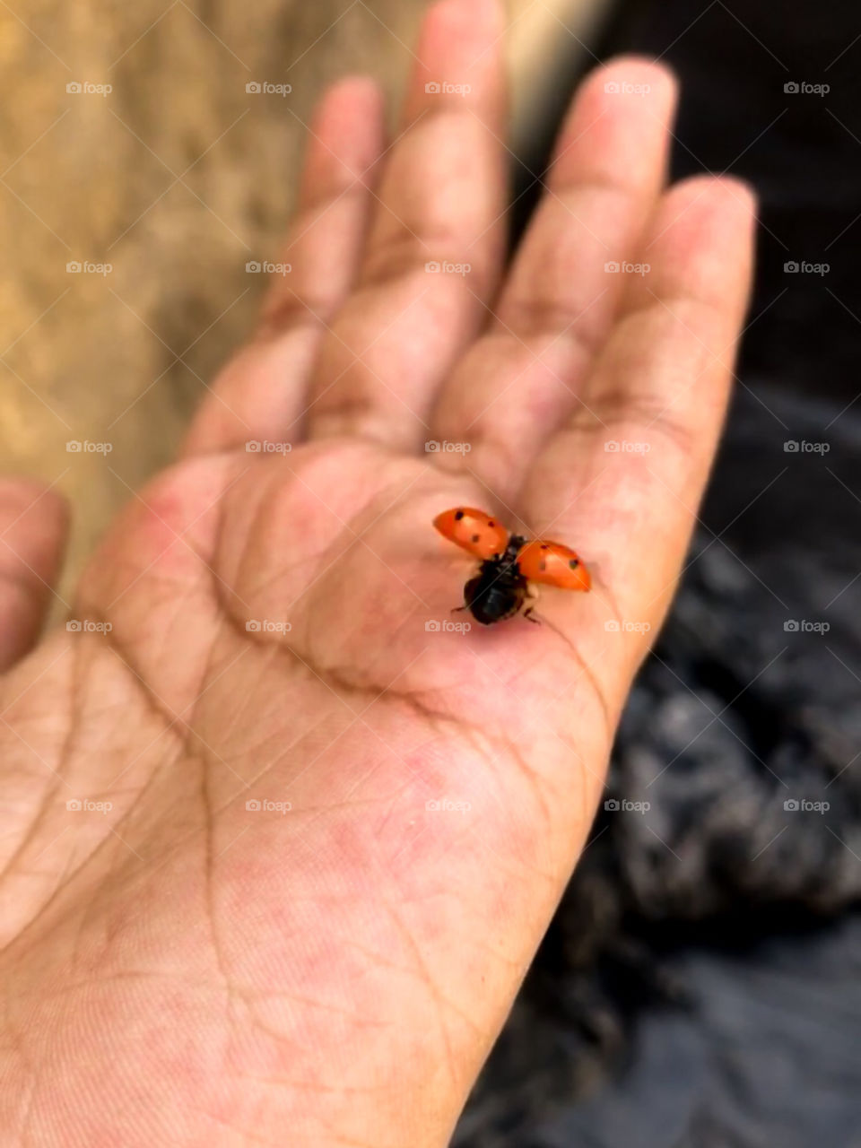 The reason birds can fly and we can't is simply because they have perfect faith, for to have faith is to have wings.