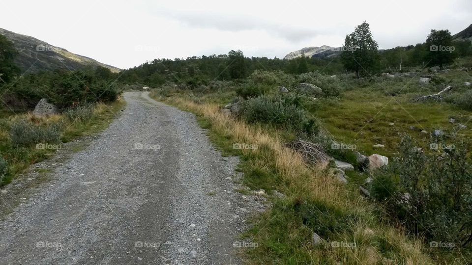 The rough nature in Norway