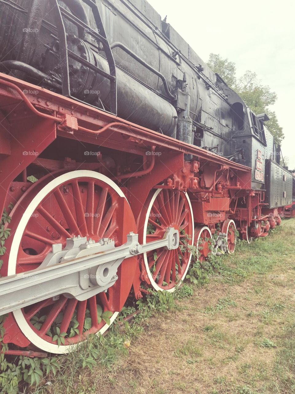 Steam locomotive.
