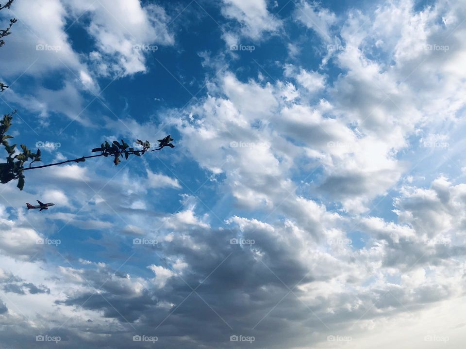 Flying airplane cross the foggy sky 