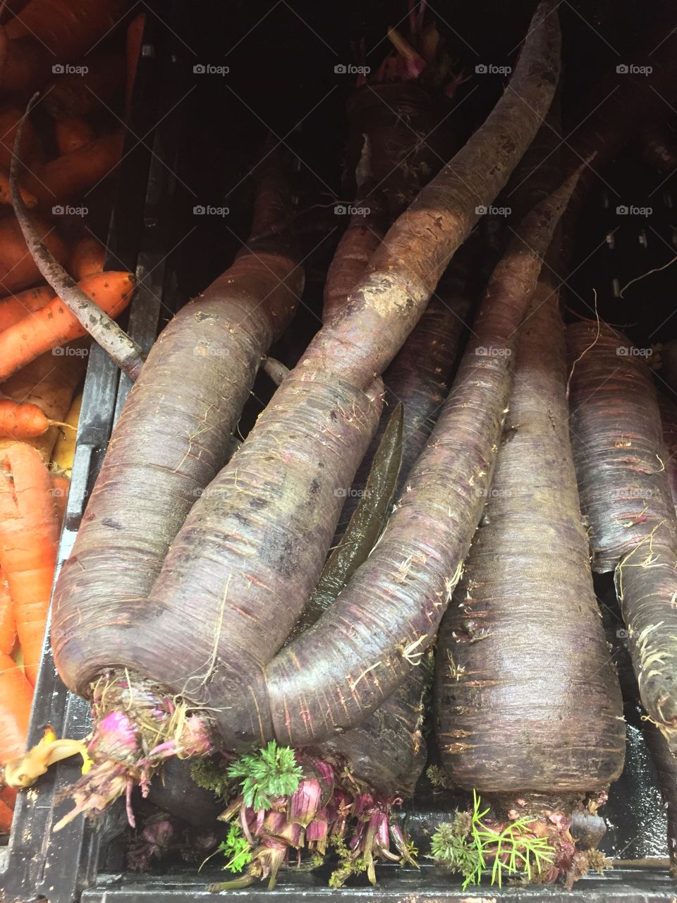 Vegetables at A Local Farm. Copyright © CM Photography. 2019. 