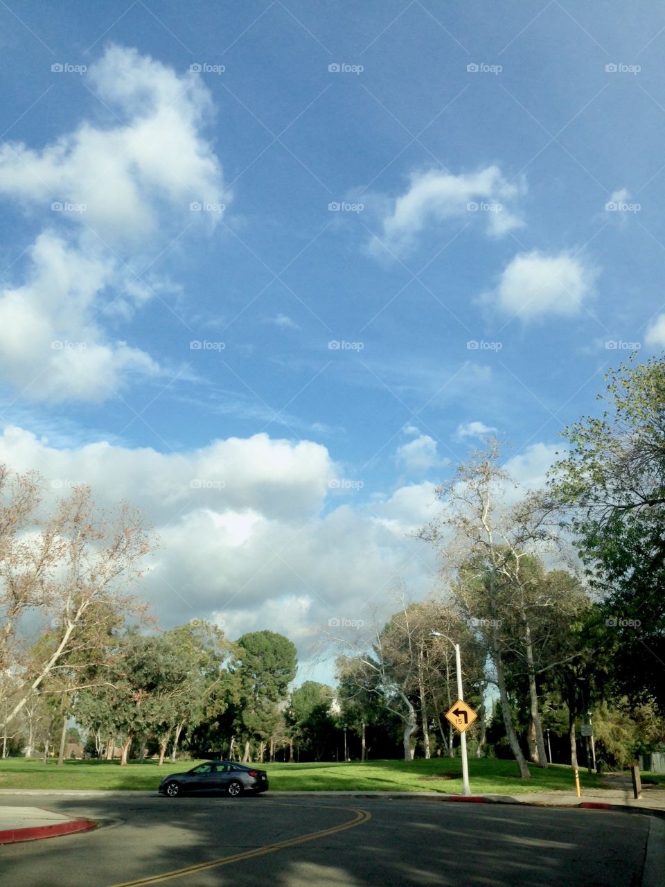 At Acacia Park

Published by:
HappyBrownMonkey 