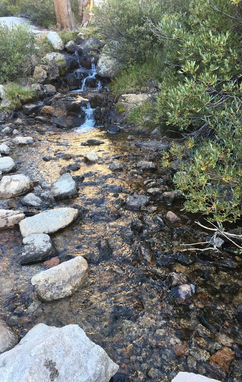 Stream along the Mt Whitney trail