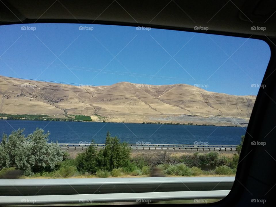 Blue Sky on Green Bushes