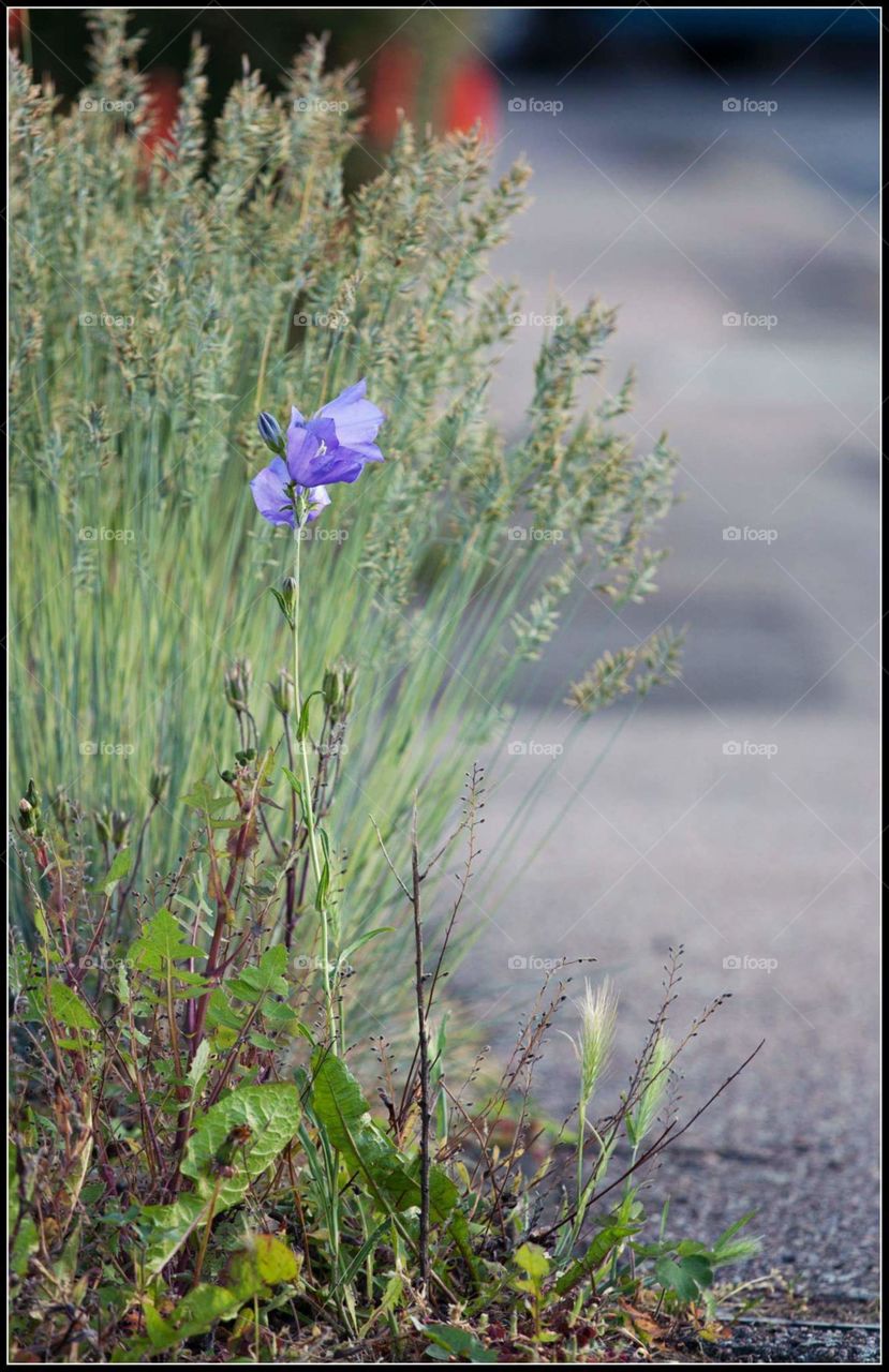 ers at the side of road