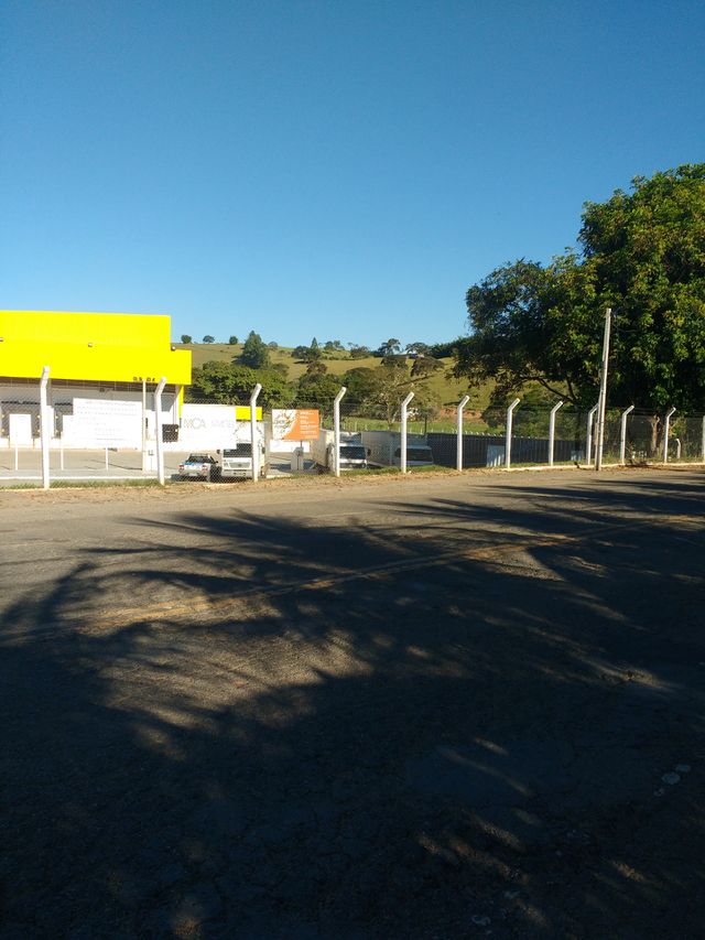 lindo