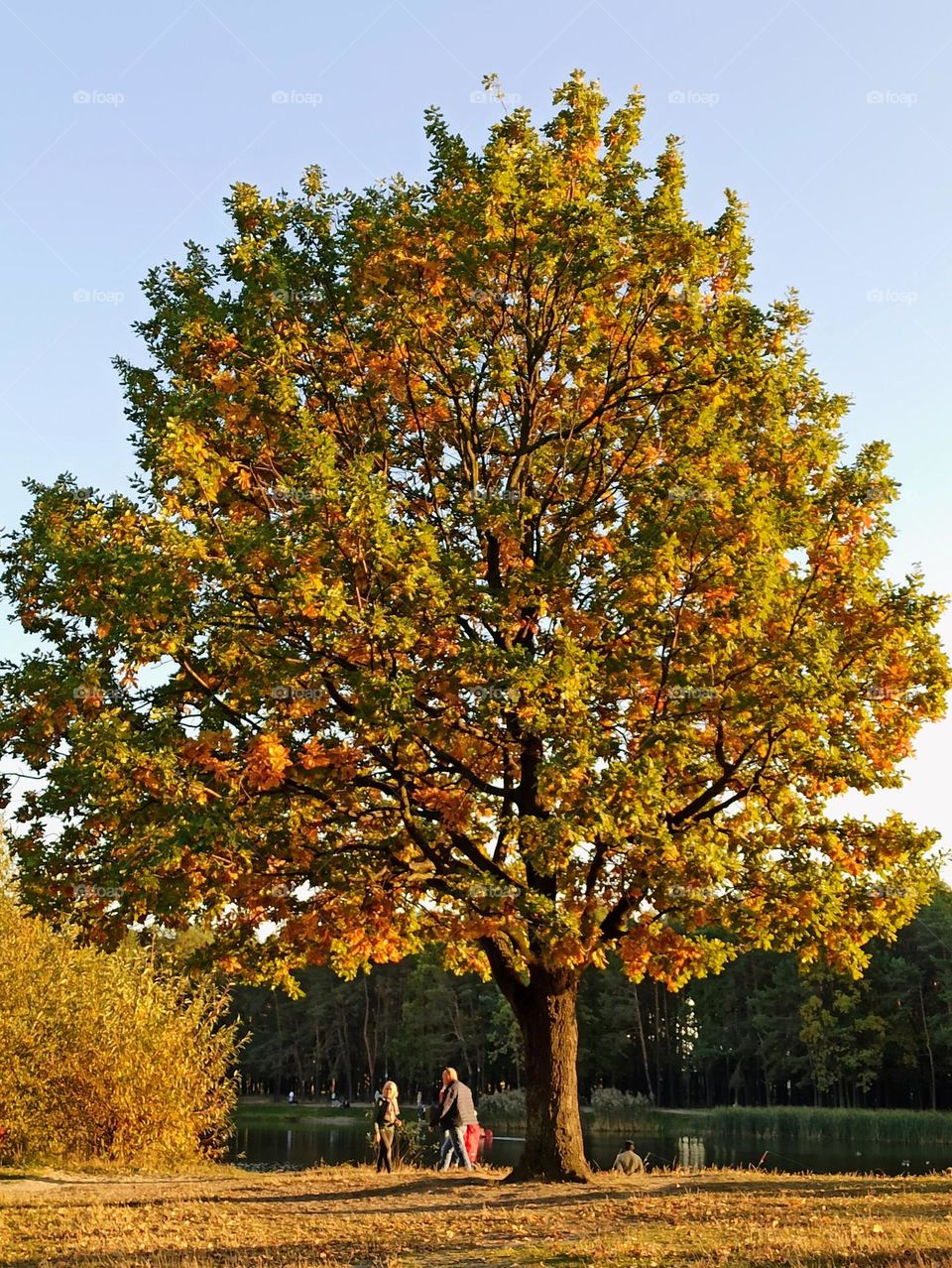 Fall Wins! (Bonus Exclusive Mission)