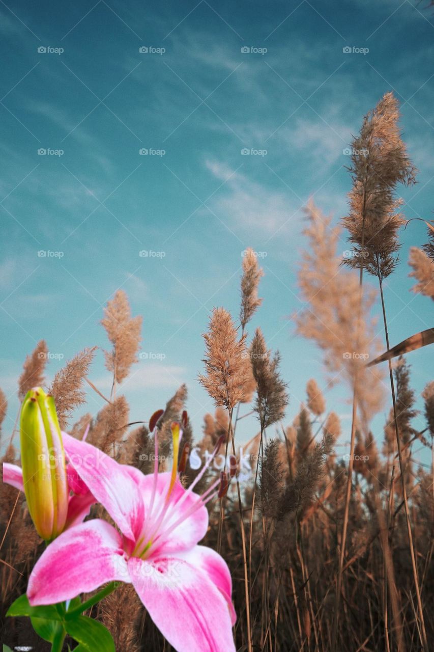 Selection of editors