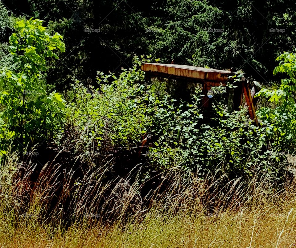 Abandoned Road Equipment