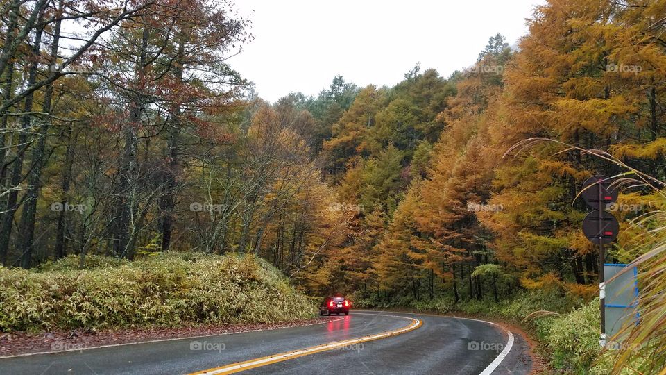 Fall road trip