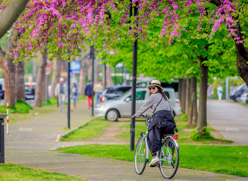 Road, Flower, Park, Outdoors, Nature