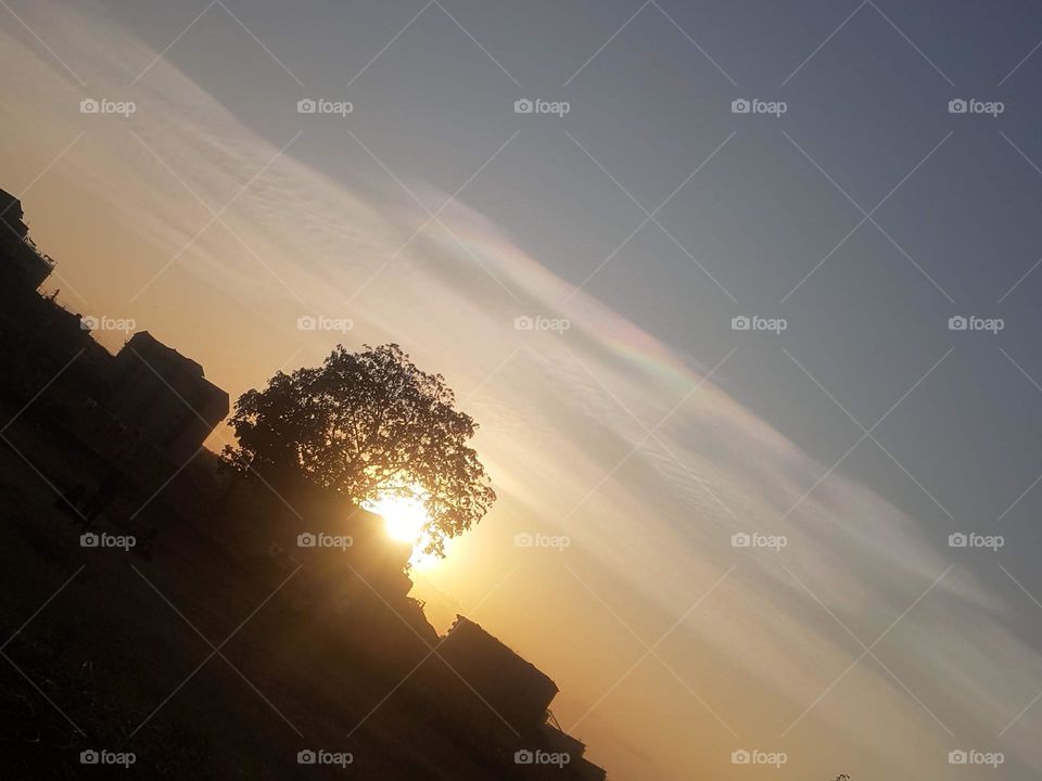 sunsets walks Zimmerman