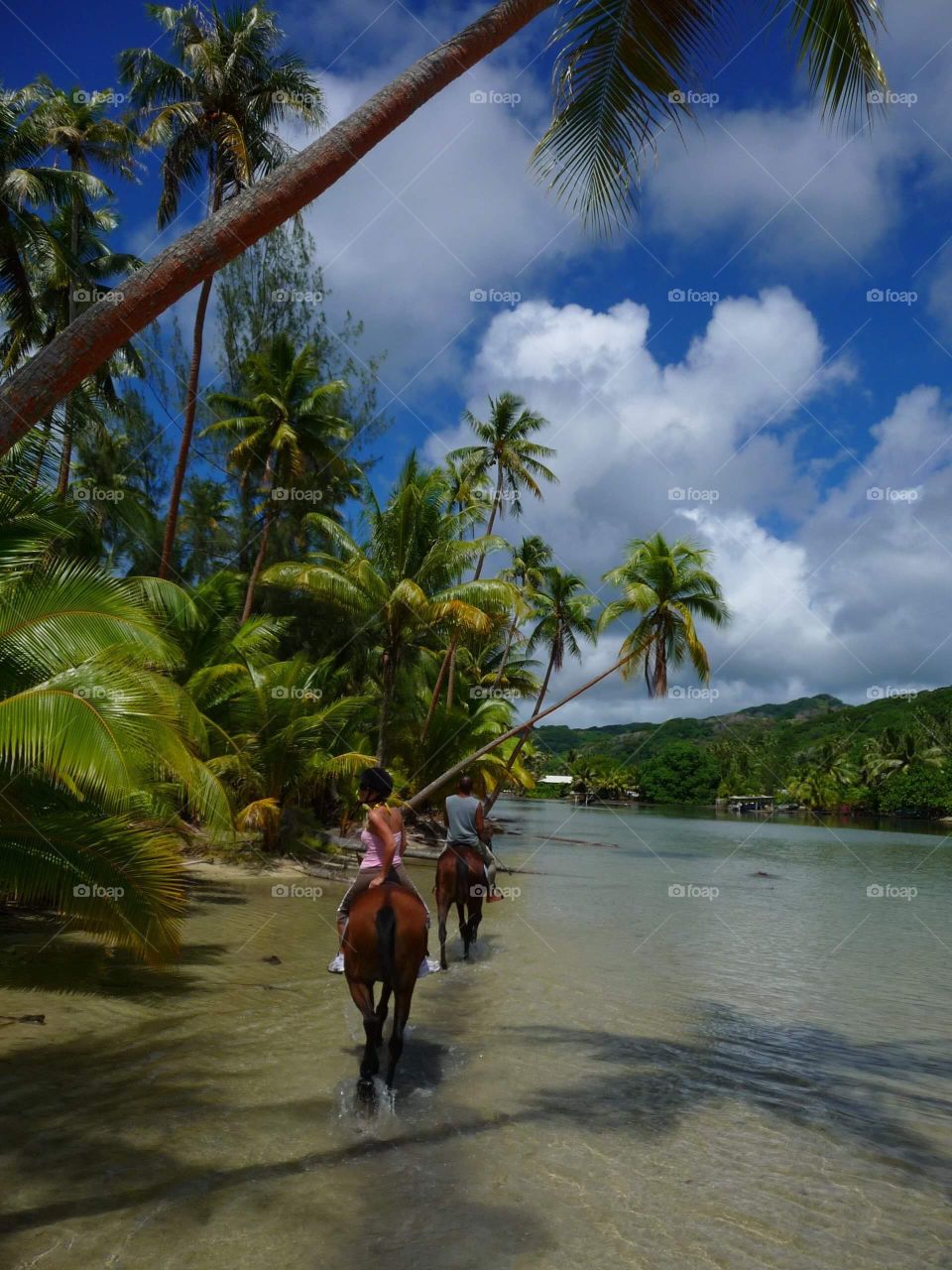 Horse riding in Huahine - French polynesia