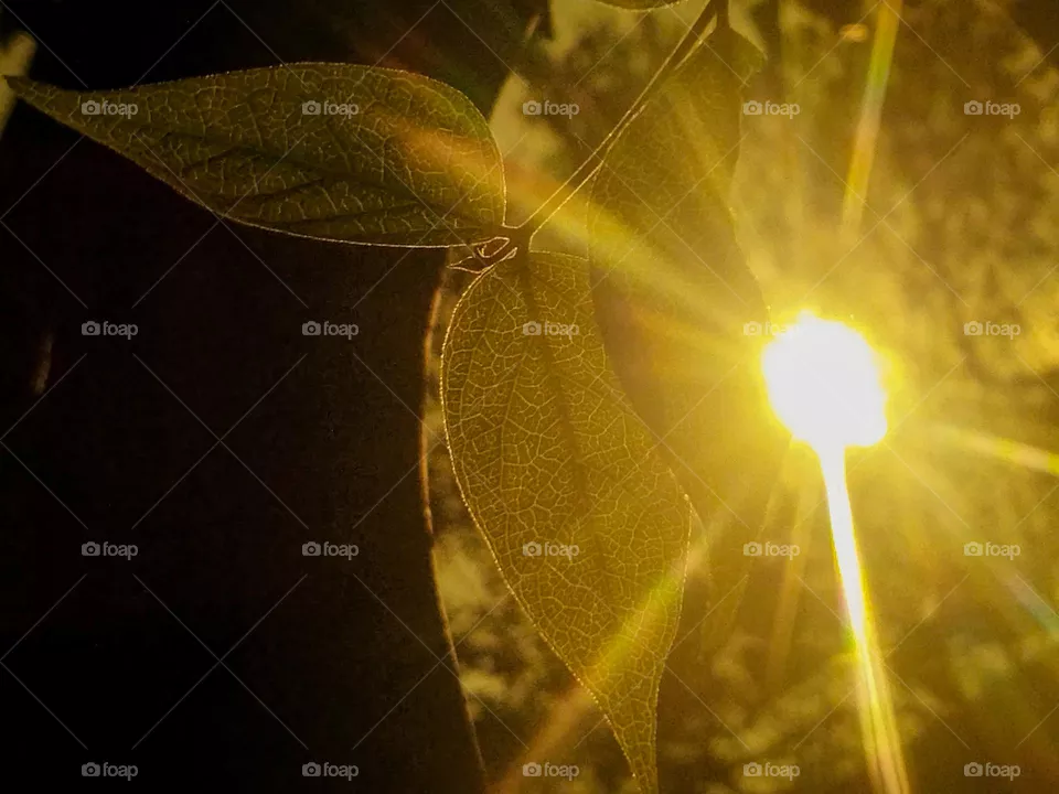 🌞  arrival of the sun