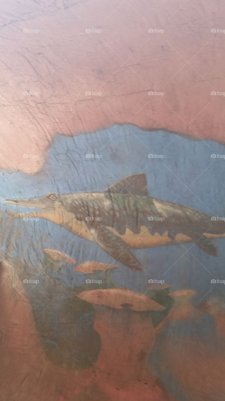 Painting inside the Shark