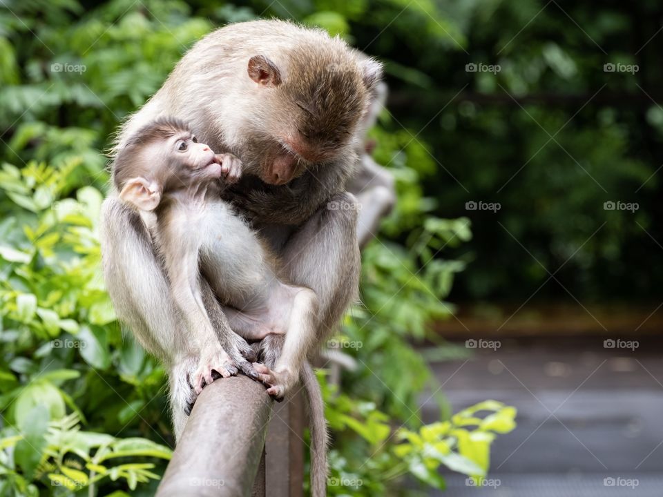 Mum and Kid’s relaxing time