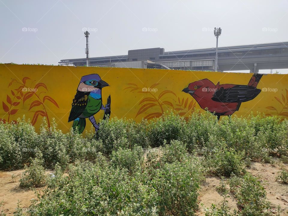 Birds image on the wall