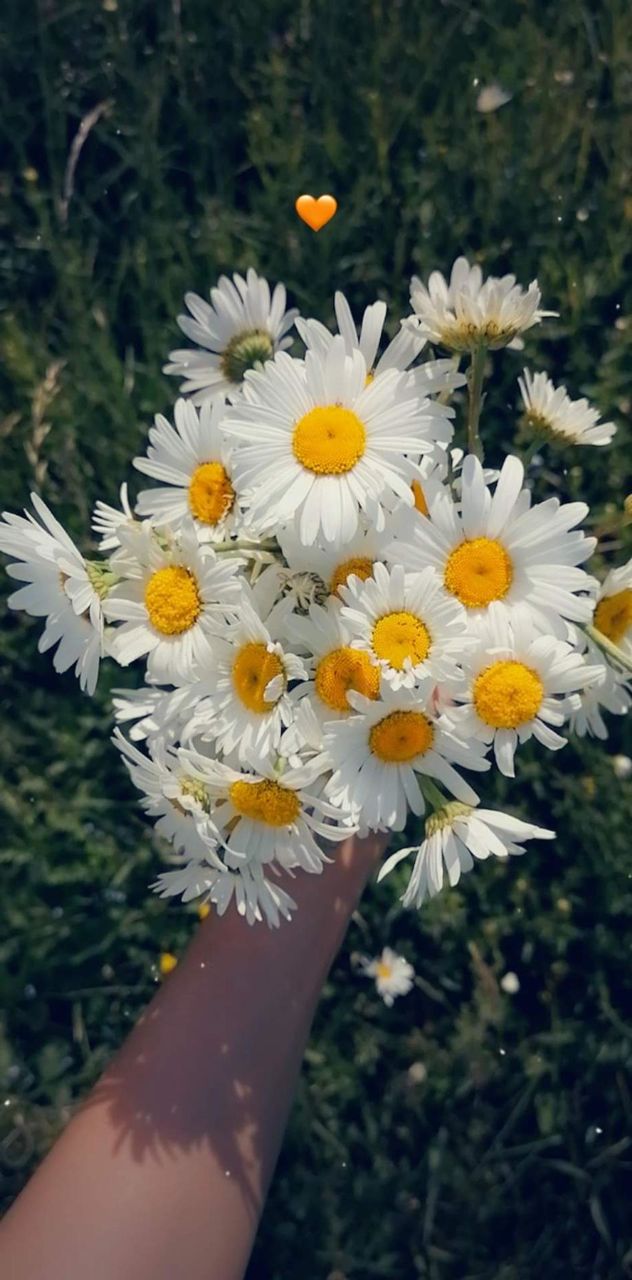😘💐