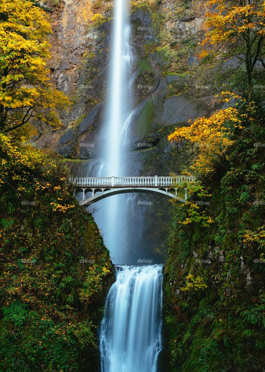 Photo of a beautiful wooden bridge in the forest next to the wonderful Congo waterfall