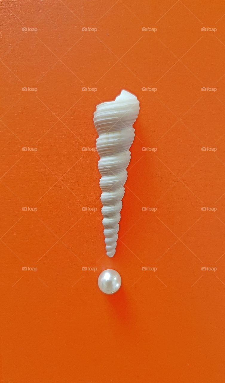 exclamation mark seashell and pearl