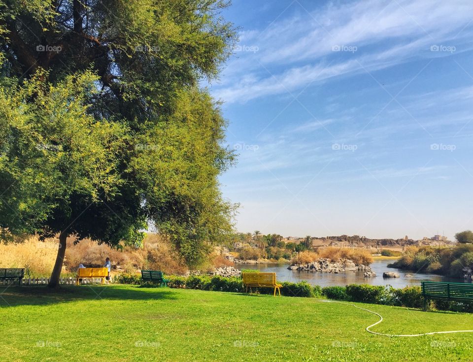 Park in Aswan, Egypt 