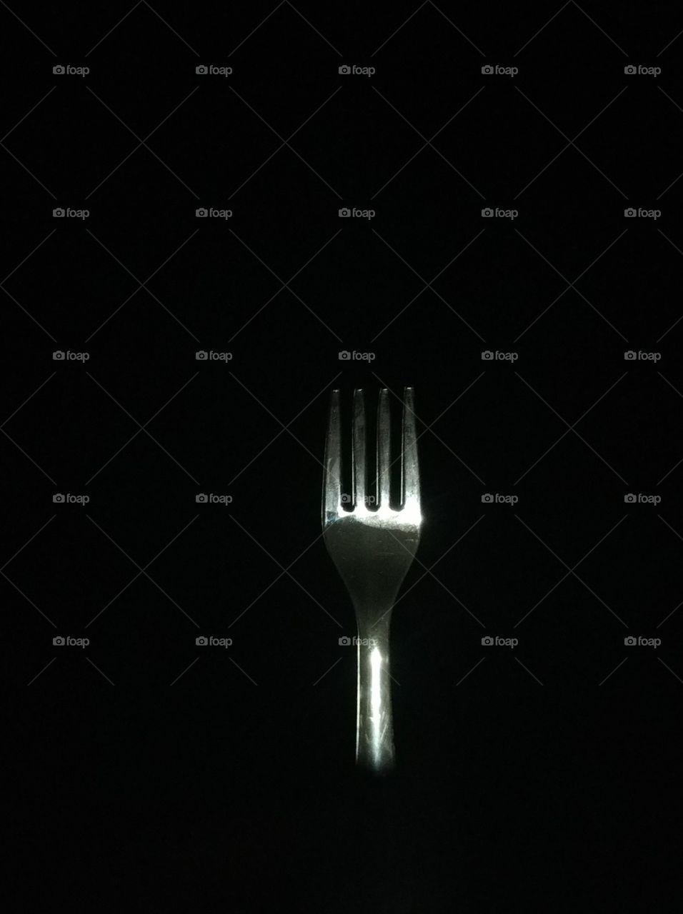 Fork