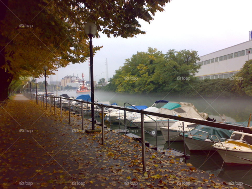 port italian marina, with autumn fog, boats and sea. Dry leaves
