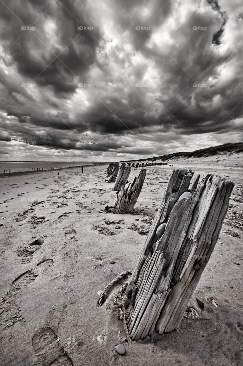 Driftwood at beach