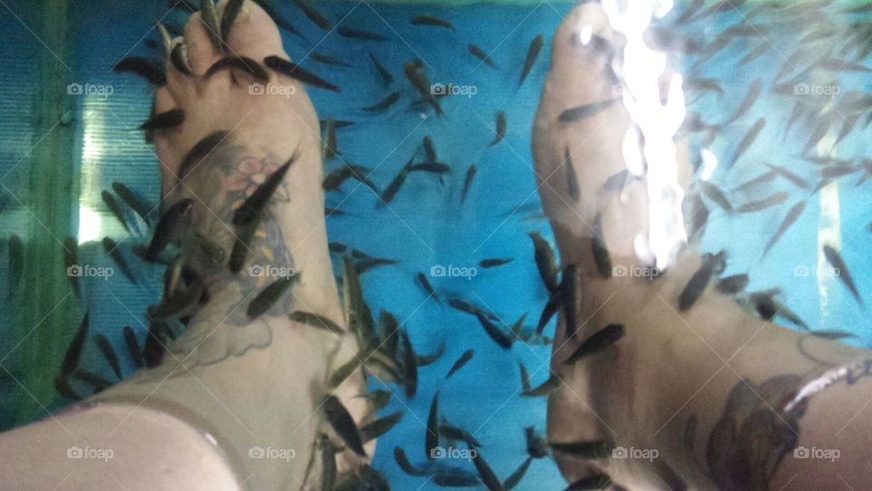 fish foot spa