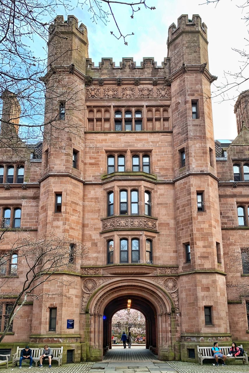 Yale university, New Haven, Connecticut 