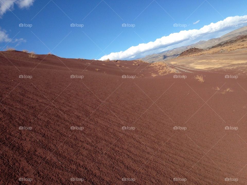 Red dunes 
