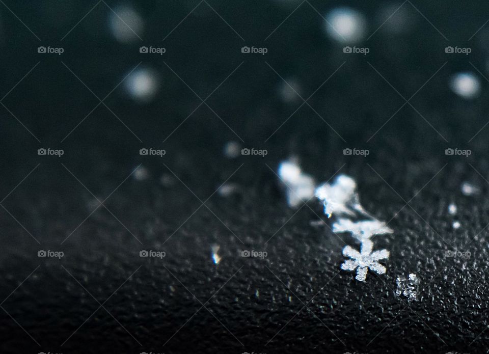 A solitary snowflake. 