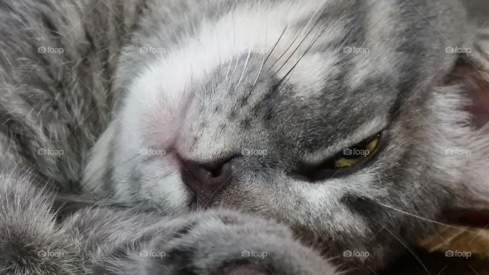 Why are you bothering me?