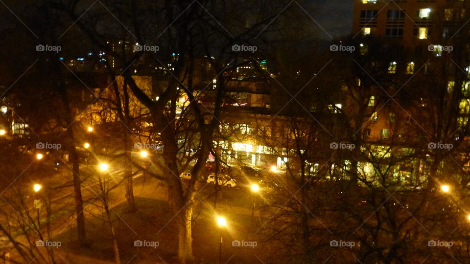 night view of park trees