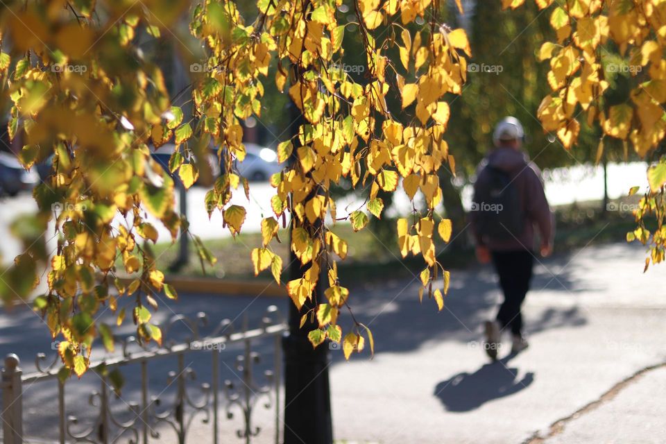 осень в городе